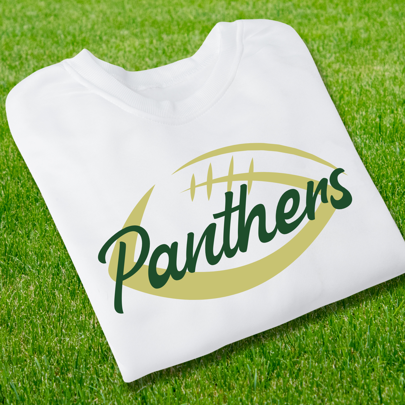 Retro Football Panthers