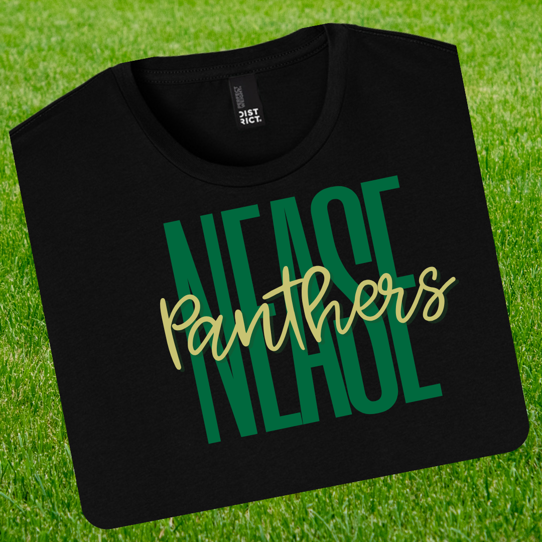 Panthers Block Letter Traditional Solid