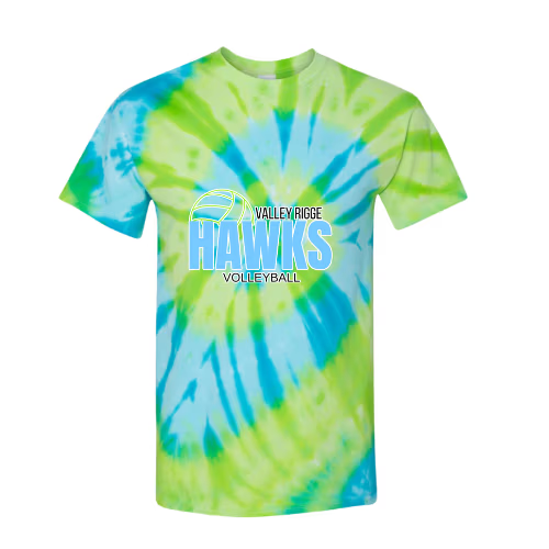 TieDye- Simple Logo Hawks Volleyball image 0